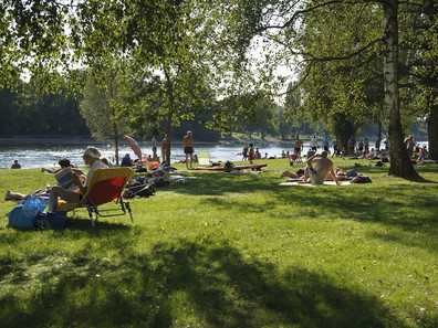 Rheinuferpark im Sommer